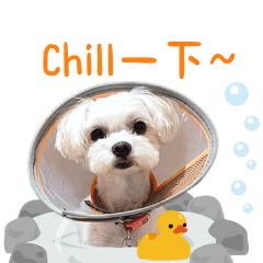 安琪拉專屬貼圖