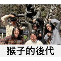 家猴萬事興