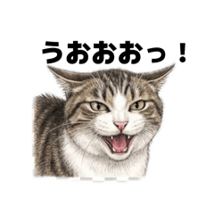 gomataru_20260412064554