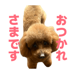 Chacha_20260412071013