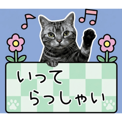 yossy834_20260412073310