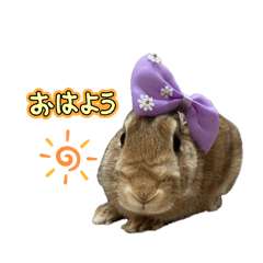 tsumugi_20260411215342