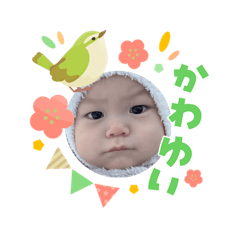 MINA_20260411215617