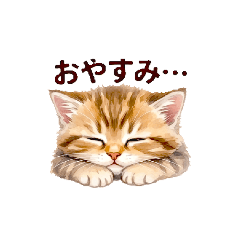 smile shop_20260411220308