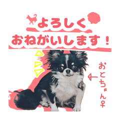 Momota_20260411215627