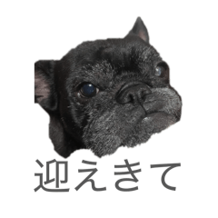 piyori_20260411233541
