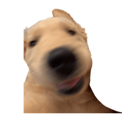 NANAMI_20260411233346