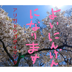 BUBBOSU_20260411234800