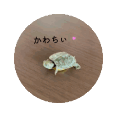 Kana_20260412120217