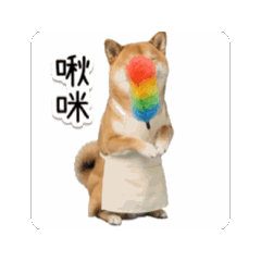 0924 來福狗寶貝