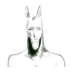 horse and horse human