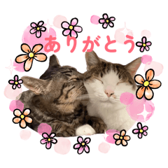 YUUKA_20260412001254