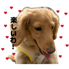 mtss7000_20260412001727