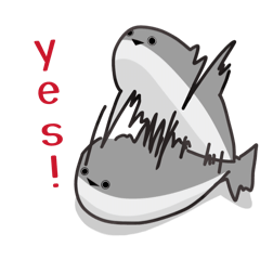 kairu_20260412015247