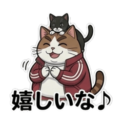 Chubby Cat in a Tracksuit&Komameo2