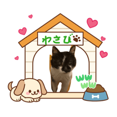 tsumugi_20260412075633