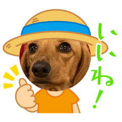 Mayu_20260412081326