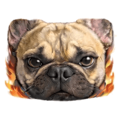 bomuchan_torachan_20260412100302