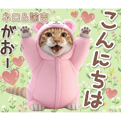 himayan_20260411235110