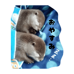 Pochi_20260412000650