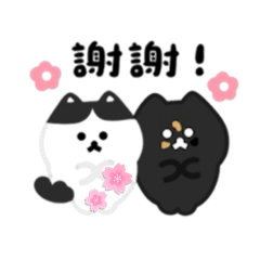 記錄美好的時光