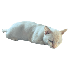 kaitomluvkub