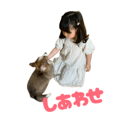 ponpoko_20260412010528