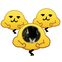 1234567890_20260412023149