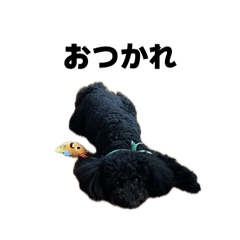 KuropuS_20260412023651