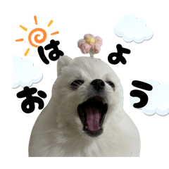 karawasa_20260412022349