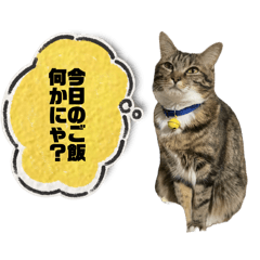 chikuwa_20260412023816