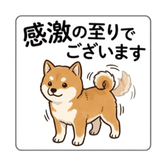 hinakoma_20260411154055