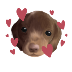 I luv dachshund