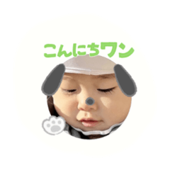 marina_20260412084314