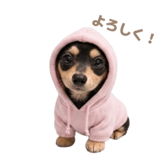 ayrihari_20260412083949