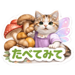 merumyu_20260412091312