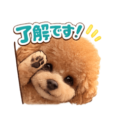 Masayasu_20260412093513