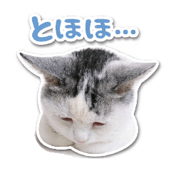 kuuchan mam_20260412093503