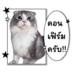Nunny_20260412111741