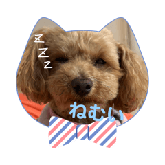 Sakugagahaha_20260412102639