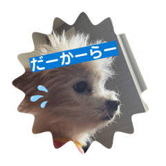 nachi_20260412103200