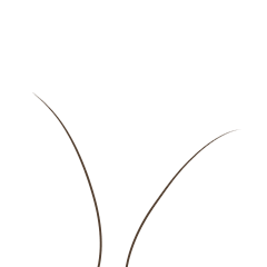 There's hair on your screen.