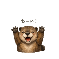 curly_20260412110658