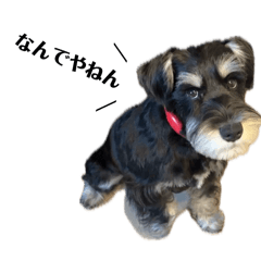 77by87_20260412110909