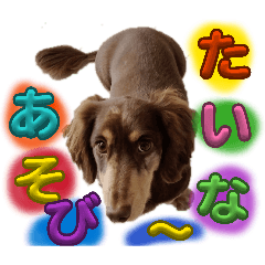 chiipon_20260412111310