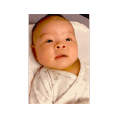 秋葵不沾醬～動圖