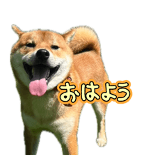 NAOMI_20260412112433