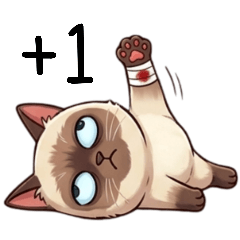 暹羅貓阿雜2加1加1