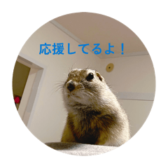momo_20260407214528