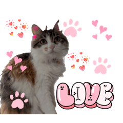 azumonapan_20260412120113